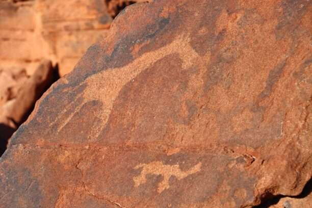 WhatsApp Image 2025-11-25 at 14.02.20 (13)