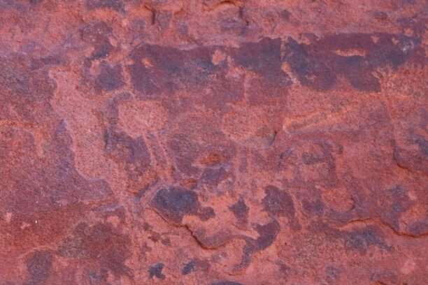 WhatsApp Image 2025-11-25 at 14.10.53 (1)