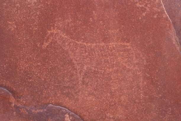 WhatsApp Image 2025-11-25 at 14.10.53 (6)