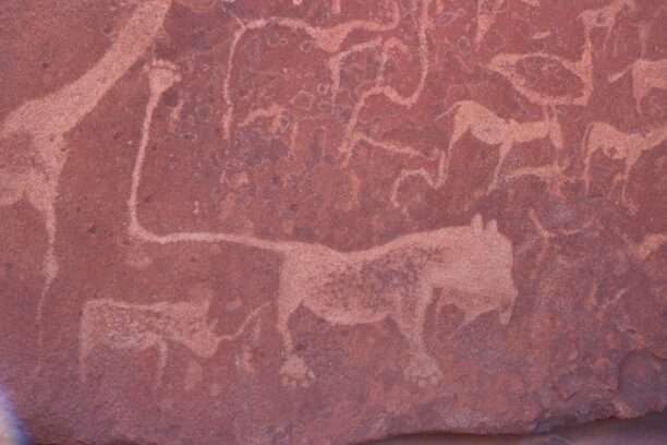 WhatsApp Image 2025-11-25 at 14.10.53 (7)