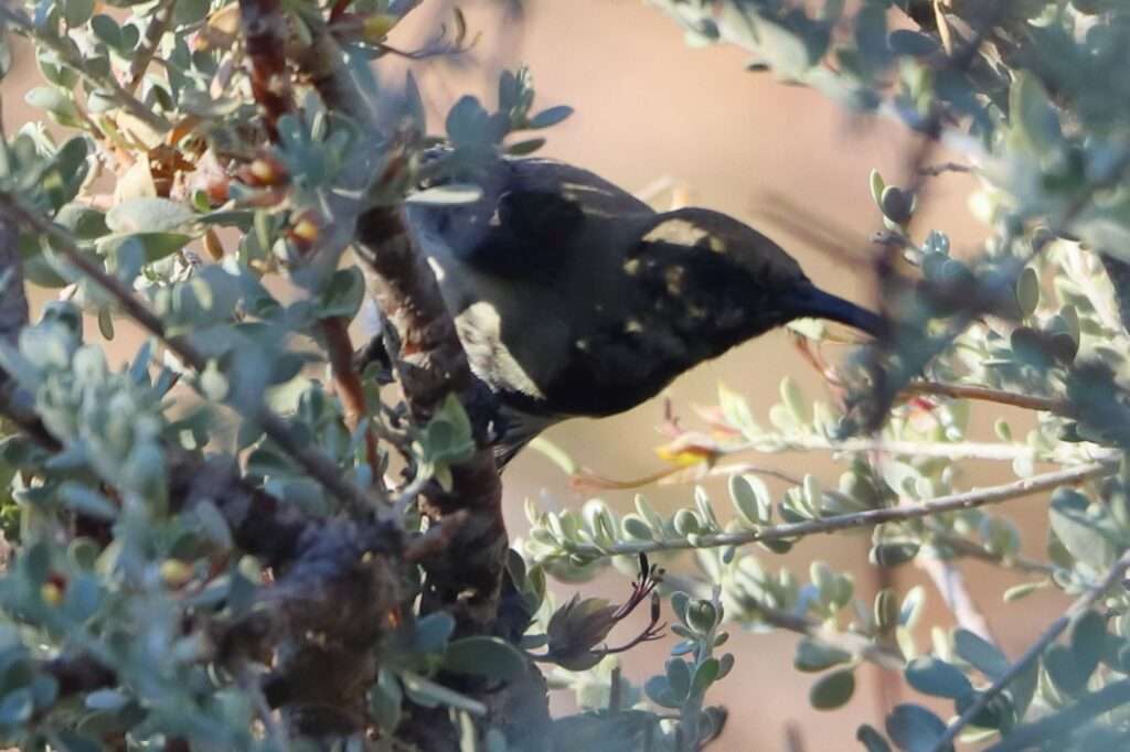 WhatsApp Image 2025-11-27 at 20.06.22 (1)