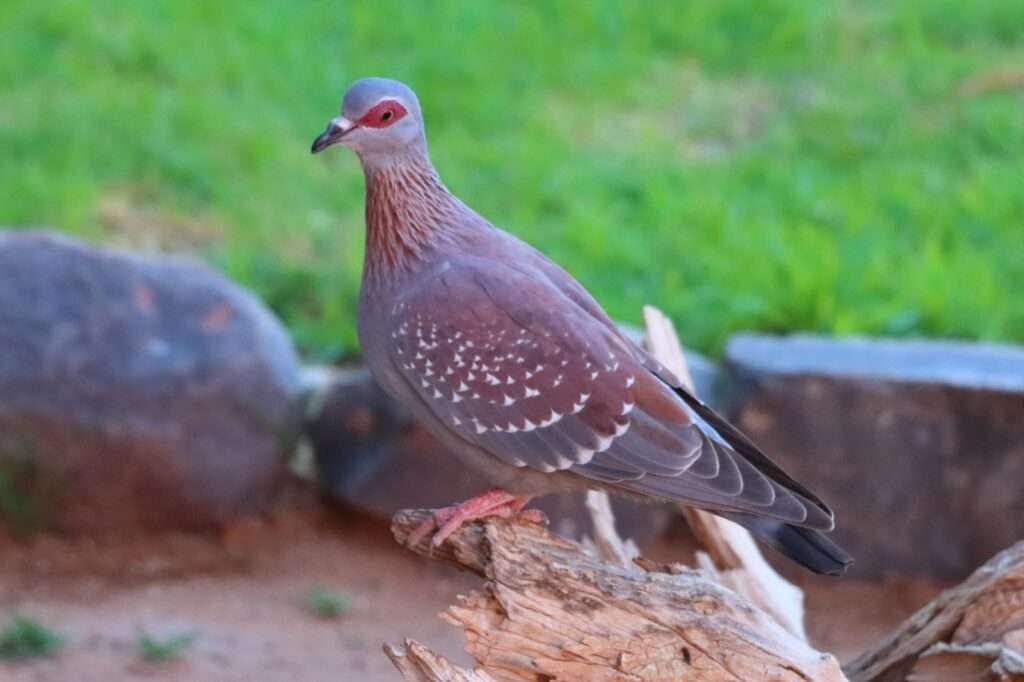 WhatsApp Image 2025-11-27 at 20.06.22 (3)