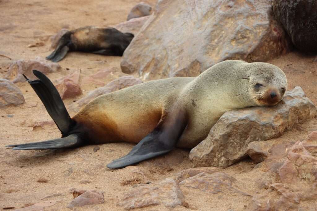 WhatsApp Image 2025-11-27 at 20.12.04 (6)