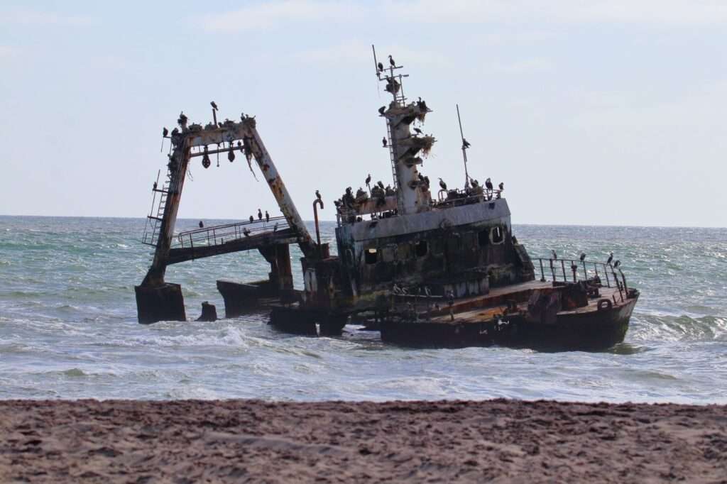 WhatsApp Image 2025-11-27 at 20.13.03