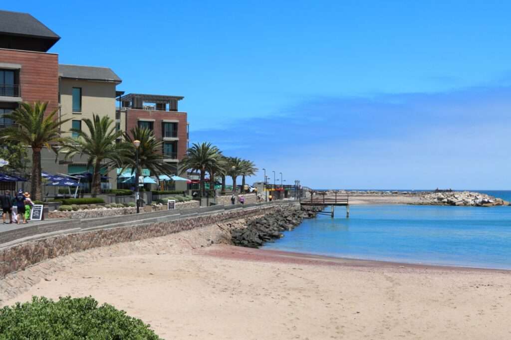 WhatsApp Image 2025-11-28 at 17.44.53 (1)