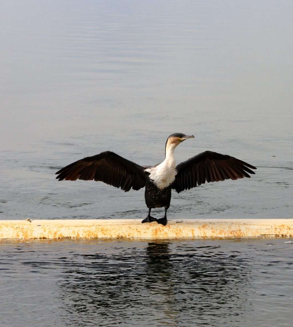 WhatsApp Image 2025-12-02 at 16.58.47 (7)