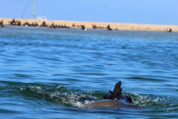 WhatsApp Image 2025-12-02 at 17.01.14 (6)