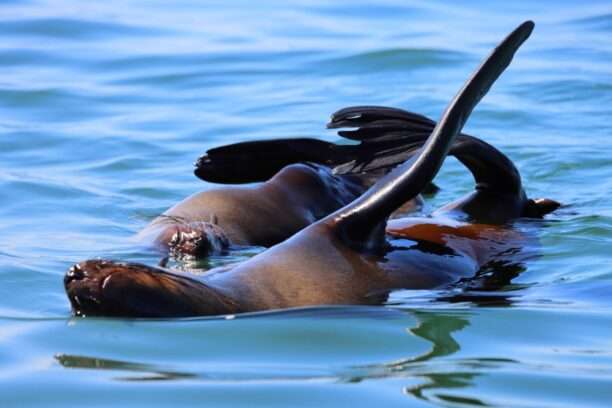 WhatsApp Image 2025-12-02 at 17.04.50 (4)