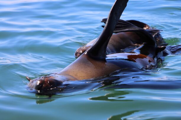 WhatsApp Image 2025-12-02 at 17.04.50 (5)