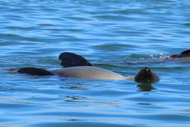 WhatsApp Image 2025-12-02 at 17.04.51 (2)