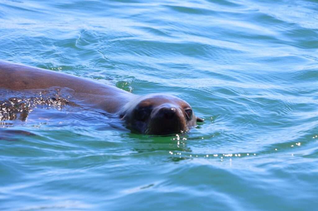 WhatsApp Image 2025-12-02 at 17.11.22 (1)