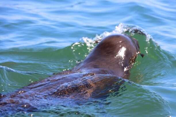 WhatsApp Image 2025-12-02 at 17.11.22 (6)