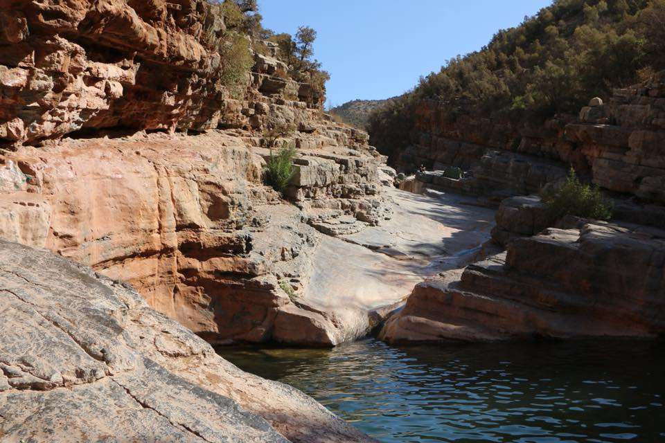 465040367_8520689424635118_8224537611837251507_n