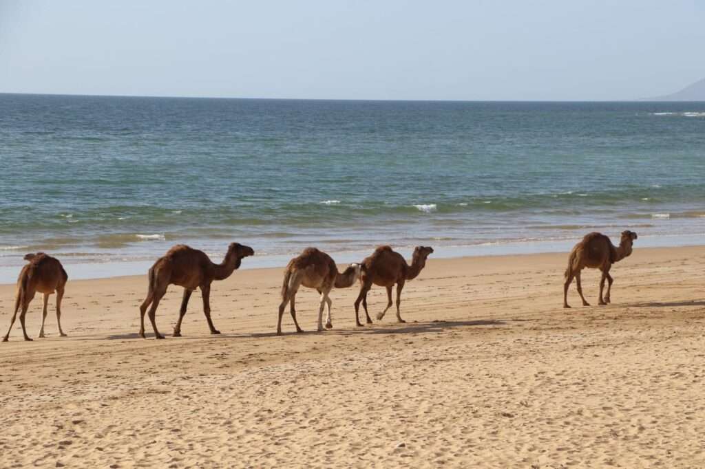 480617580_1158698969382799_7812683530010874245_n