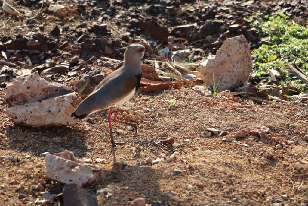 605526451_122272613972220392_1357355258861892058_n