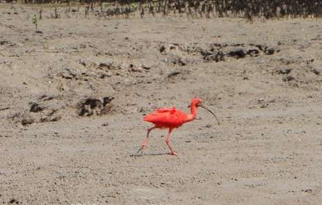 606386969_122273127086220392_3209228951430582142_n