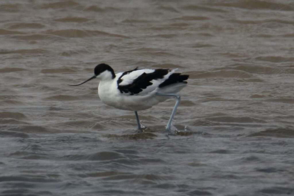 WhatsApp Image 2025-11-29 at 20.15.31 (7)