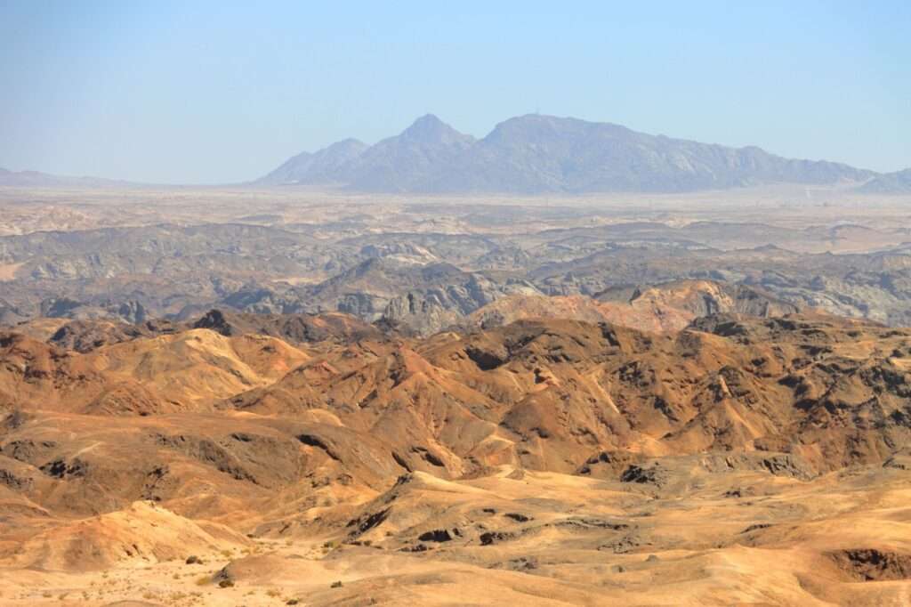 WhatsApp Image 2025-12-01 at 15.37.45 (1)