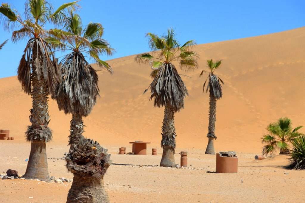 WhatsApp Image 2025-12-03 at 10.57.41 (1)