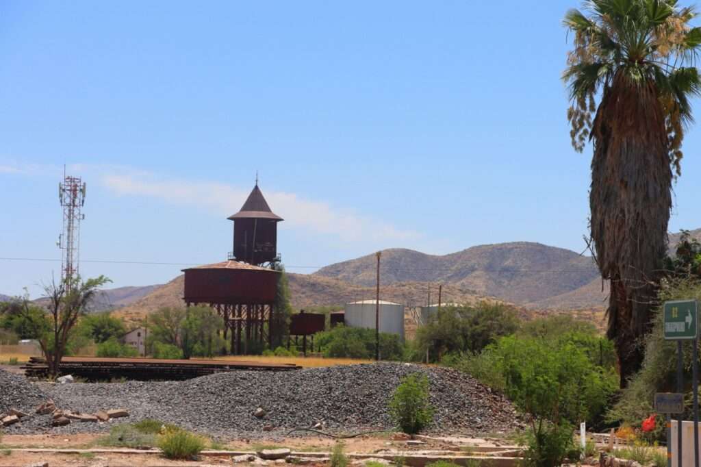 WhatsApp Image 2025-12-04 at 16.58.56 (15)