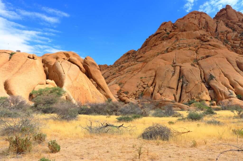 WhatsApp Image 2025-12-05 at 16.01.17 (2)