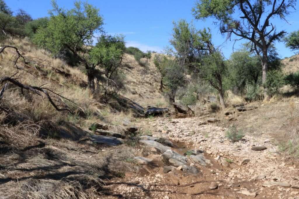 WhatsApp Image 2025-12-09 at 16.21.15 (4)