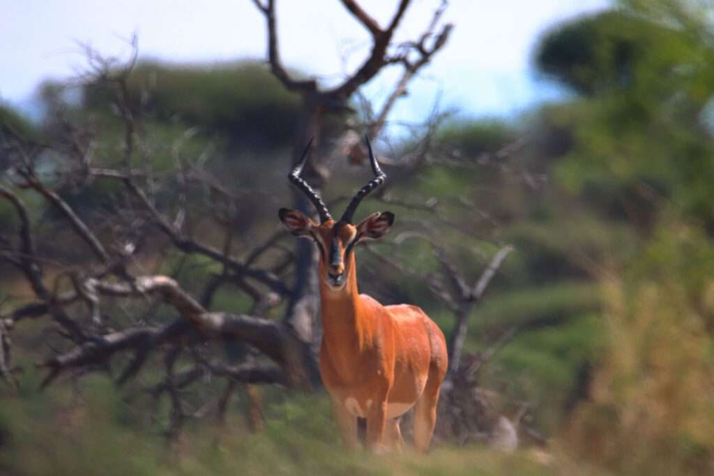 WhatsApp Image 2025-12-09 at 16.21.15 (7)