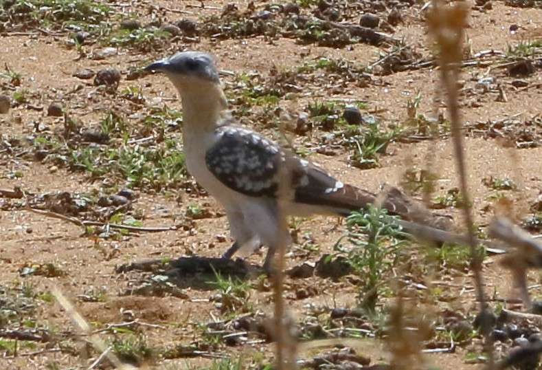 WhatsApp Image 2025-12-09 at 16.48.08 (5)