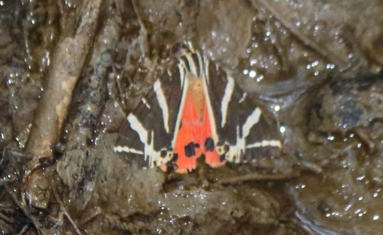 WhatsApp Image 2025-12-18 at 13.25.42 (26)