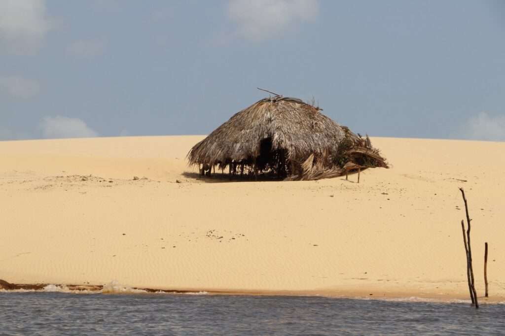 WhatsApp Image 2025-12-31 at 07.03.39 (16)