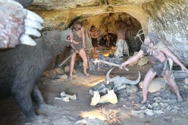 116904675_1148515468881601_4532624296737485447_n