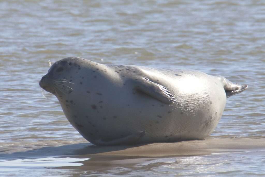 608710150_122273883572220392_8710970583104247938_n