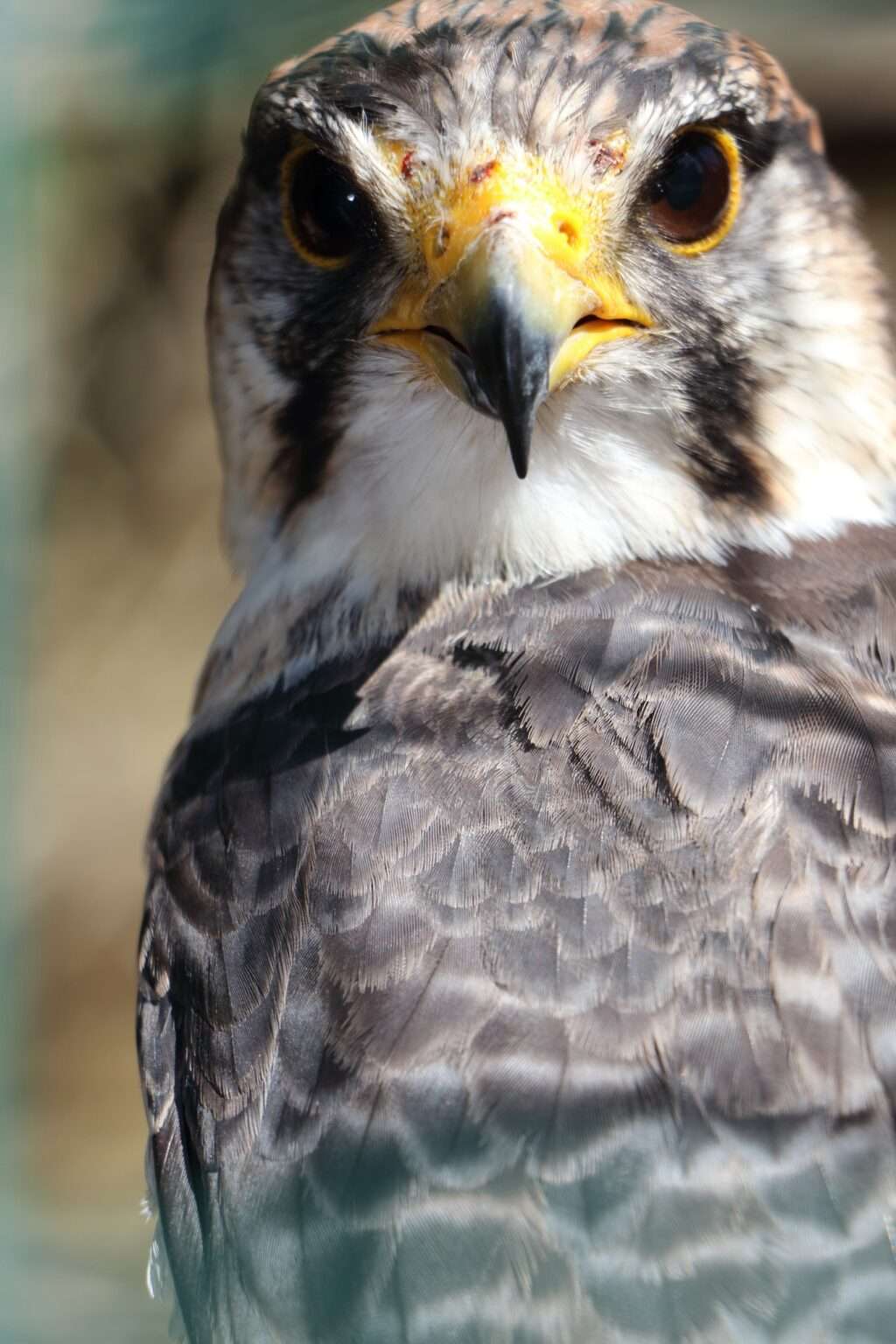 615696332_122276721254220392_2087842147899208181_n