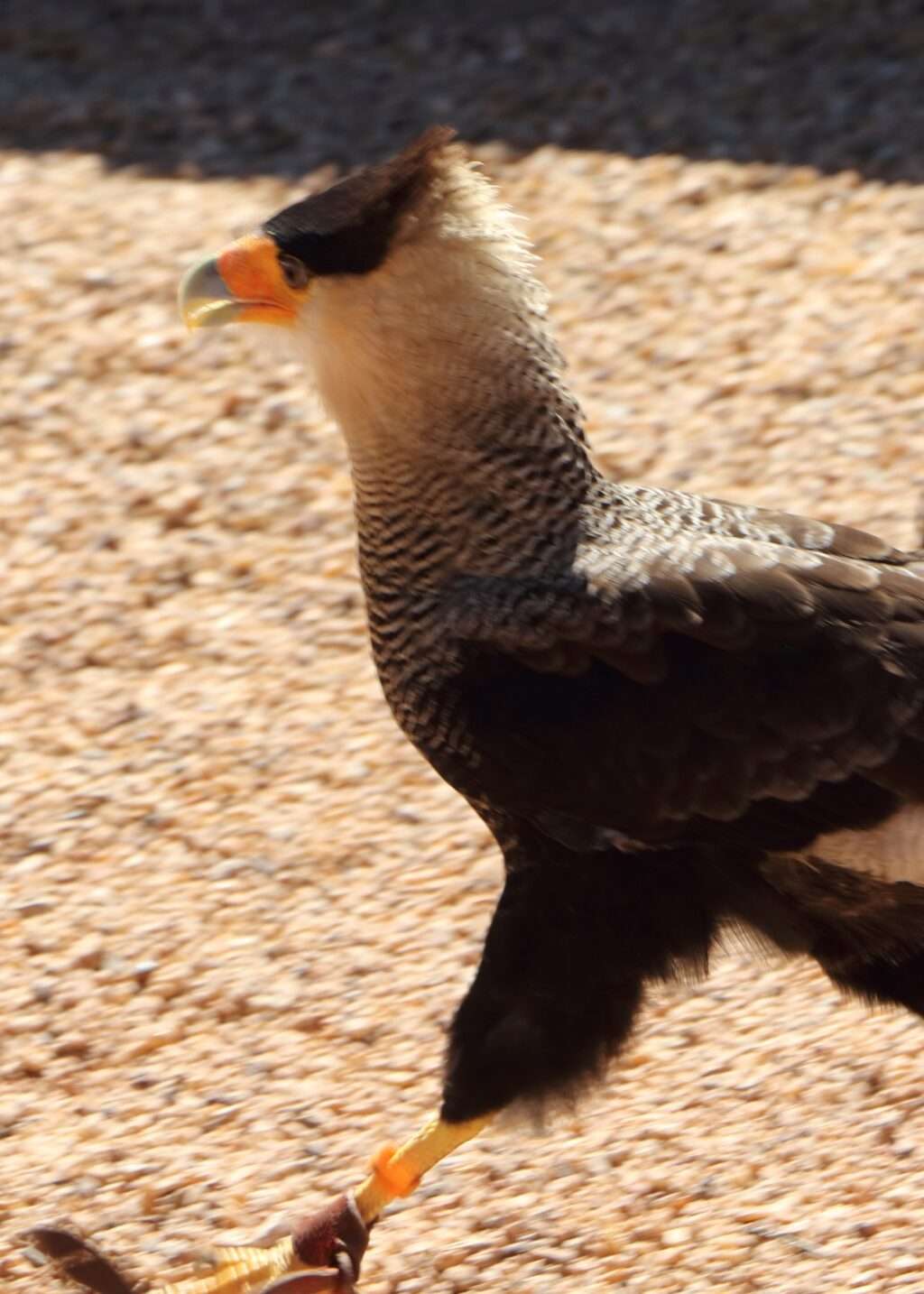 616502683_122276720894220392_5957475464590341802_n