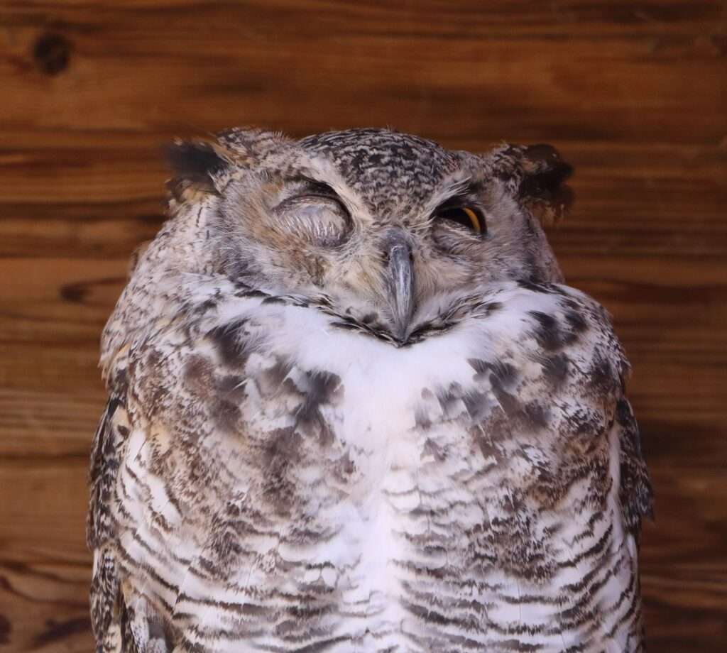 616660319_122276720732220392_1783493136440438416_n