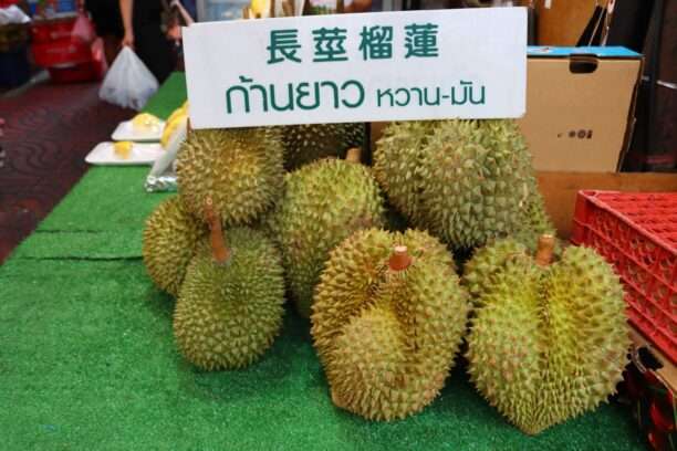 616832681_1424689079450452_1181009871828975137_n