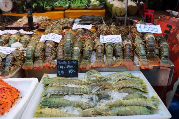 617879313_1424689049450455_5527467540643654445_n