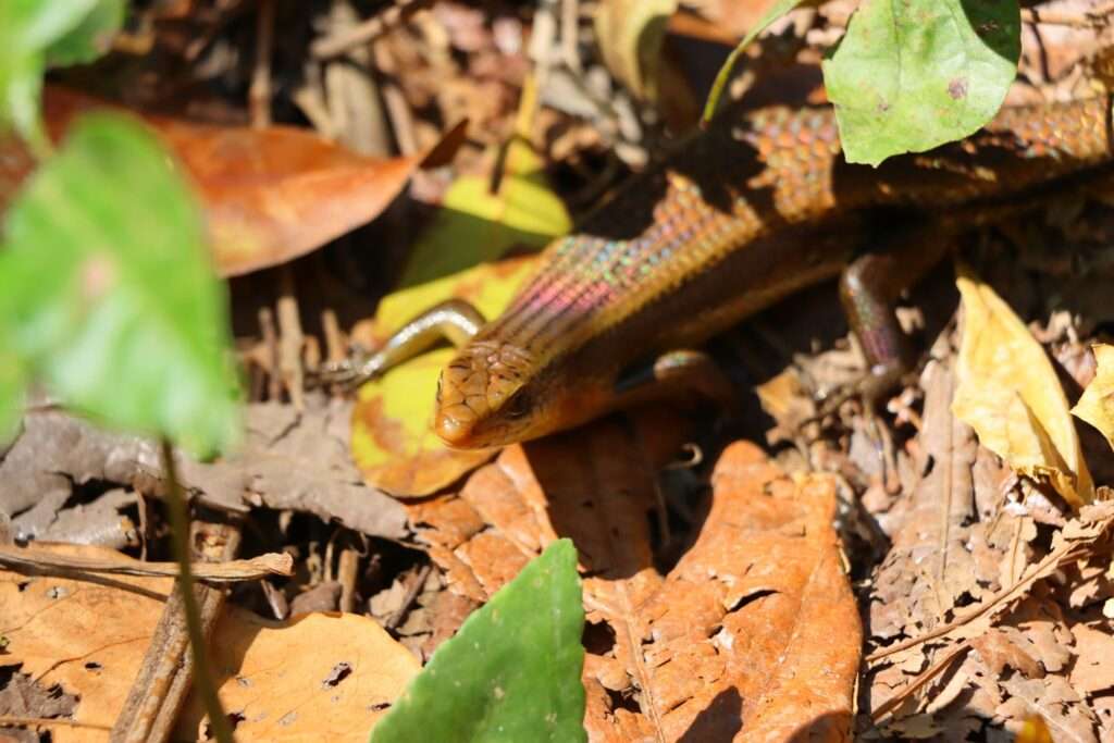 618791248_1429290882235233_5239468710356354133_n