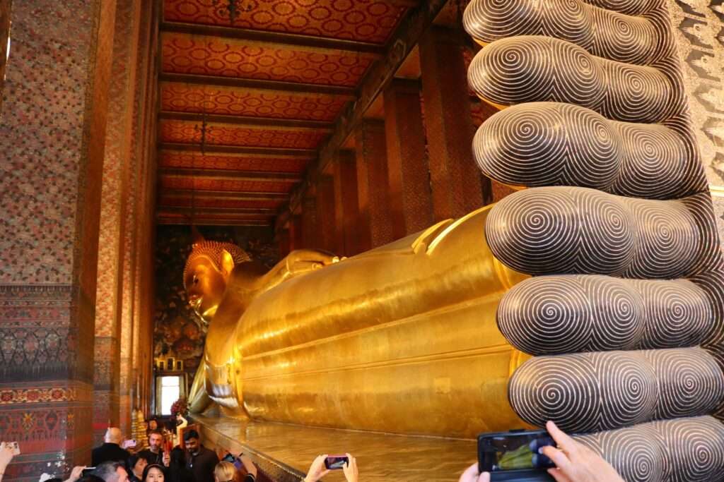 618793081_1425459226040104_7570461842062837426_n