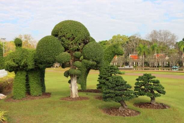 618812366_1426399952612698_1547866987672794167_n