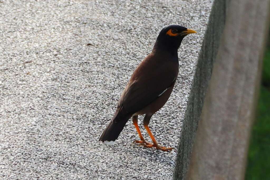 619229927_1427288895768765_8473571966499462033_n