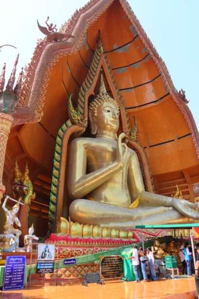 619612061_1429171665668860_22302399080395433_n