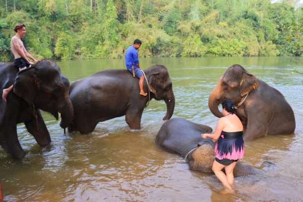 619711370_1429301462322547_952317314570034096_n