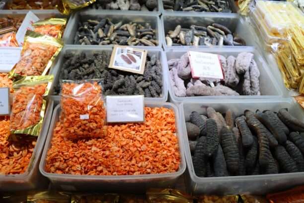 619910444_1424689189450441_3097062454416729460_n