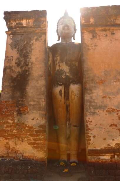 621818257_1430887158830644_3635999588510302624_n