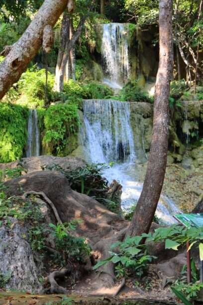 621825385_1428200725765954_6503519993091874062_n