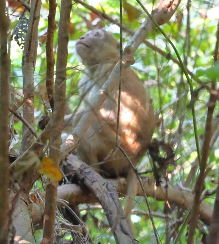 622277020_1428199935766033_7068441635621836509_n