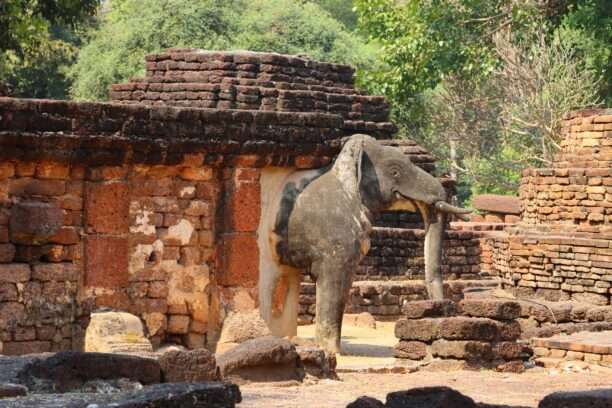 622294004_1430127942239899_6245506728793577375_n