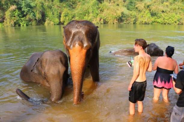 622383285_1429301805655846_632432791112715179_n