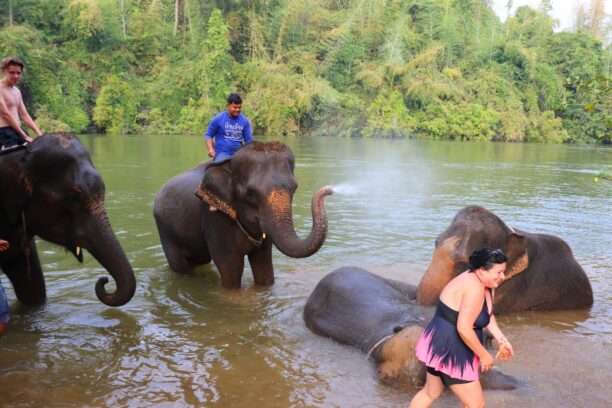 622684480_1429301558989204_3926530527455888080_n